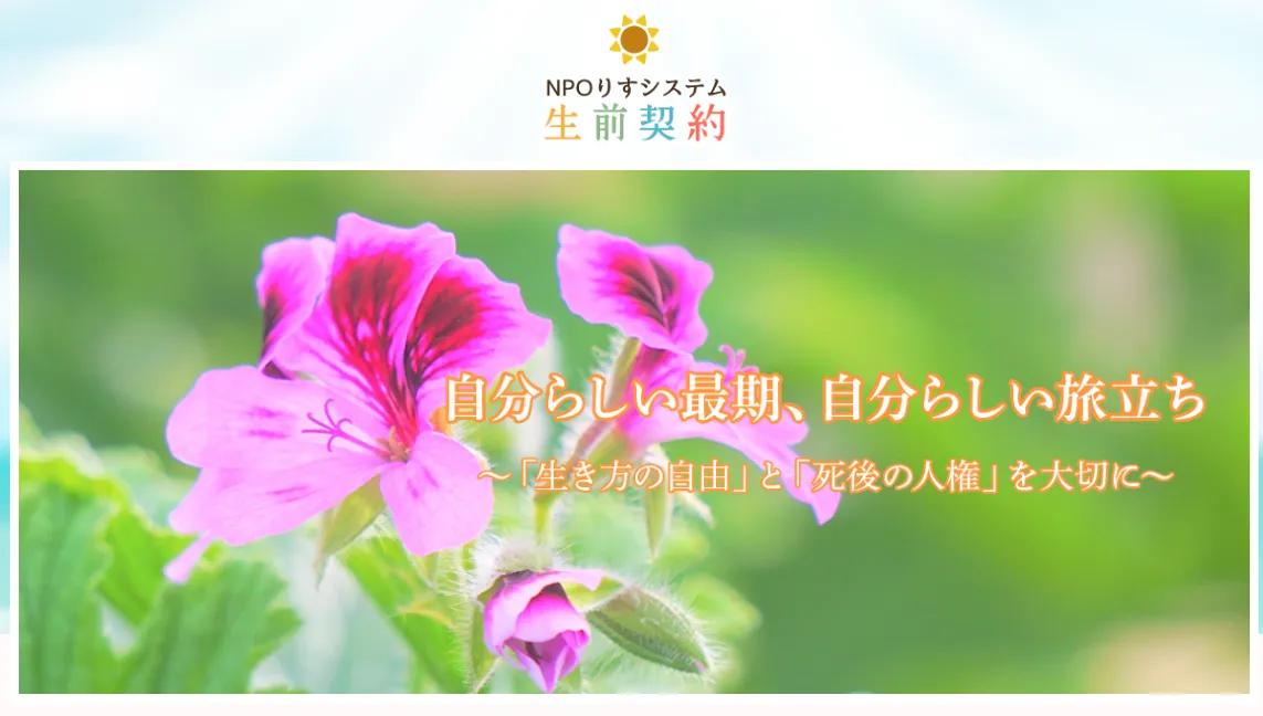 リスシステム画像